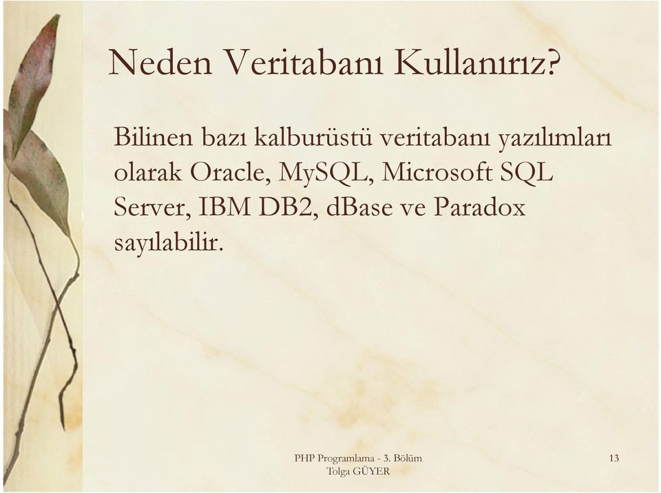 yazılımları olarak Oracle, MySQL,
