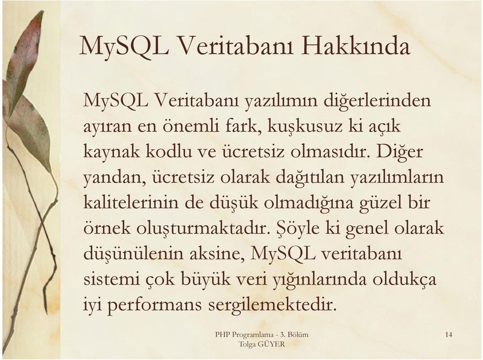 Diğer yandan, ücretsiz olarak dağıtılan yazılımların kalitelerinin de düşük olmadığına güzel bir