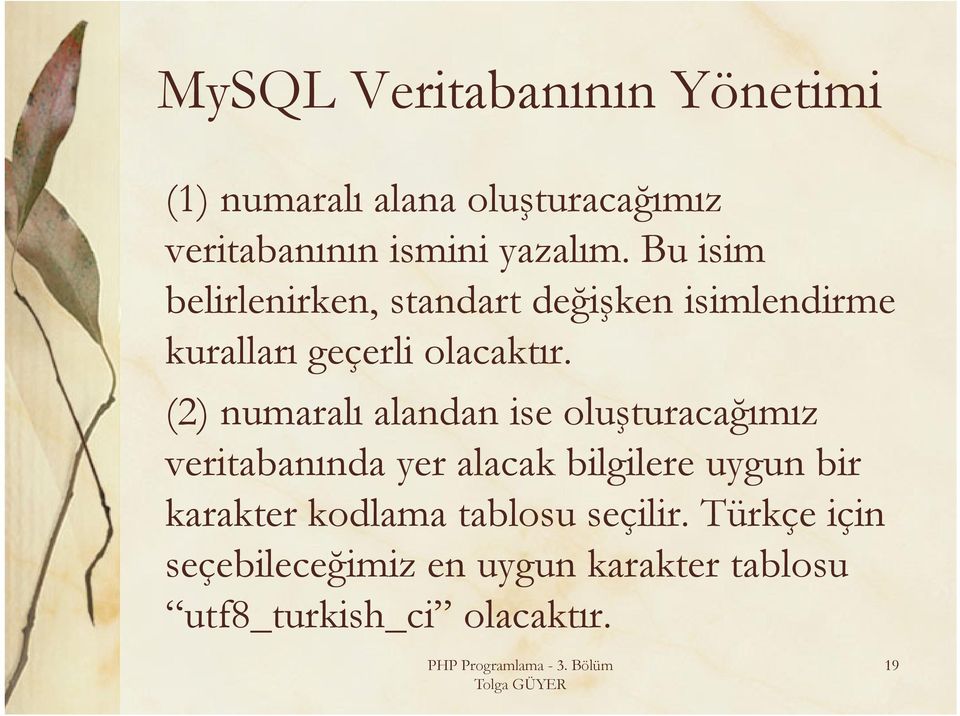 (2) numaralı alandan ise oluşturacağımız veritabanında yer alacak bilgilere uygun bir karakter