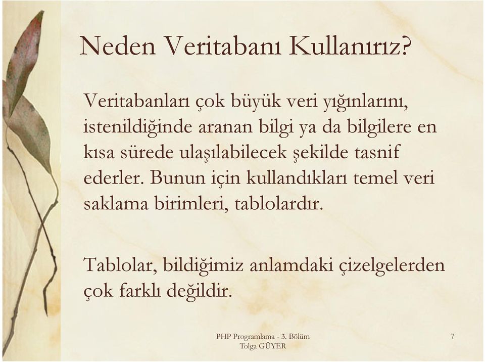 bilgilere en kısa sürede ulaşılabilecek şekilde tasnif ederler.