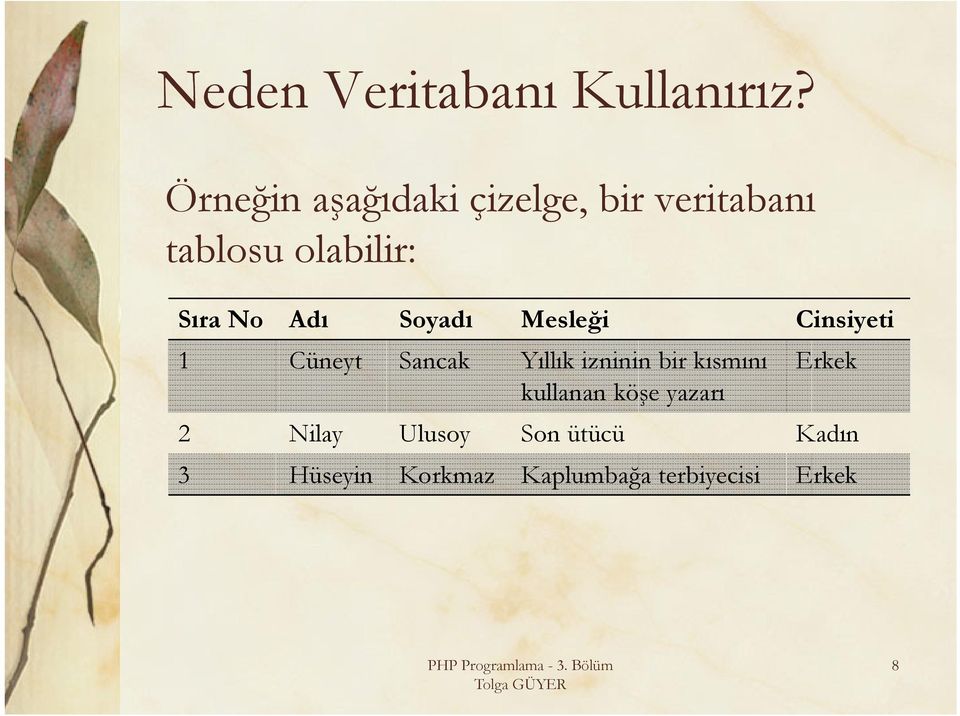 Adı Soyadı Mesleği Cinsiyeti 1 Cüneyt Sancak Yıllık izninin bir