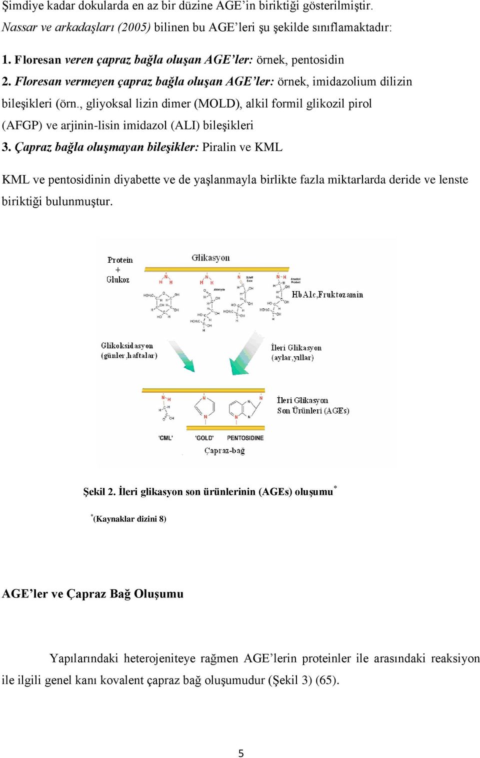 , gliyoksal lizin dimer (MOLD), alkil formil glikozil pirol (AFGP) ve arjinin-lisin imidazol (ALI) bileşikleri 3.