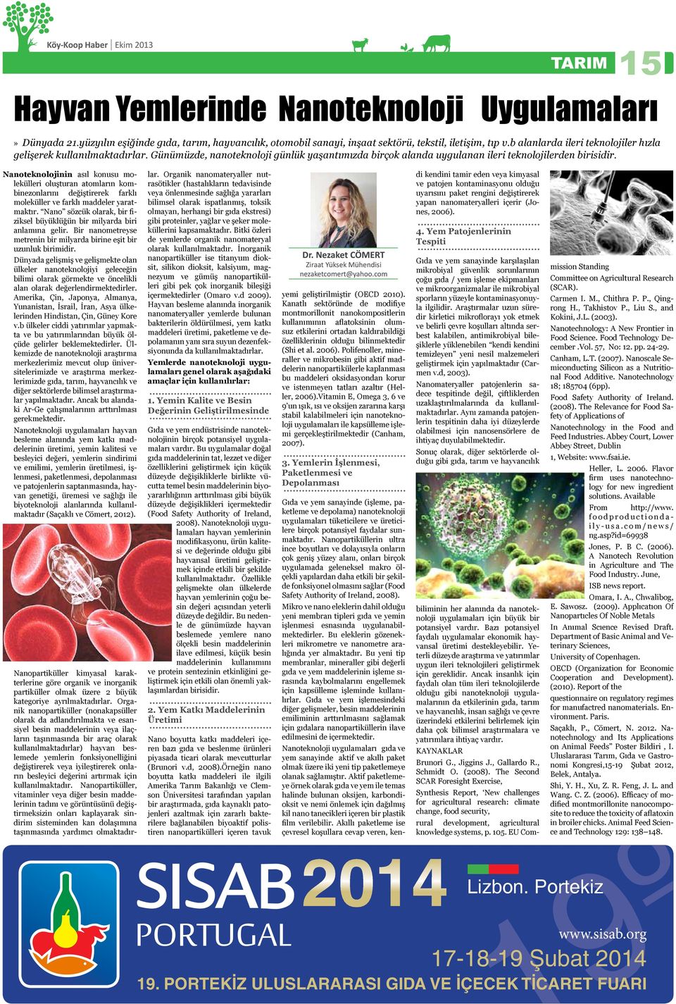 Nanoteknolojinin asıl konusu molekülleri oluşturan atomların kombinezonlarını değiştirerek farklı moleküller ve farklı maddeler yaratmaktır.