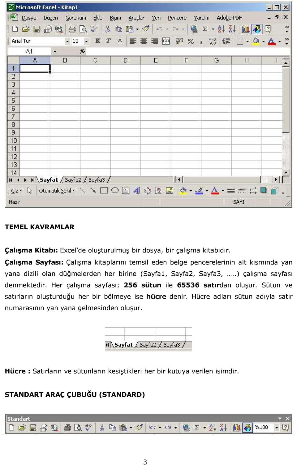 .) çalışma sayfası denmektedir. Her çalışma sayfası; 256 sütun ile 65536 satırdan oluşur. Sütun ve satırların oluşturduğu her bir bölmeye ise hücre denir.