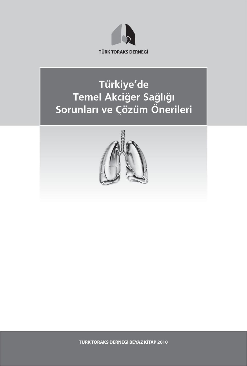 Sorunları ve Çözüm Önerileri