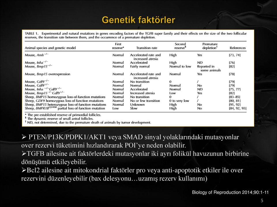 TGFB ailesine ait faktörlerdeki mutasyonlar iki ayrı folikül havuzunun birbirine dönüşümü etkileyebilir.