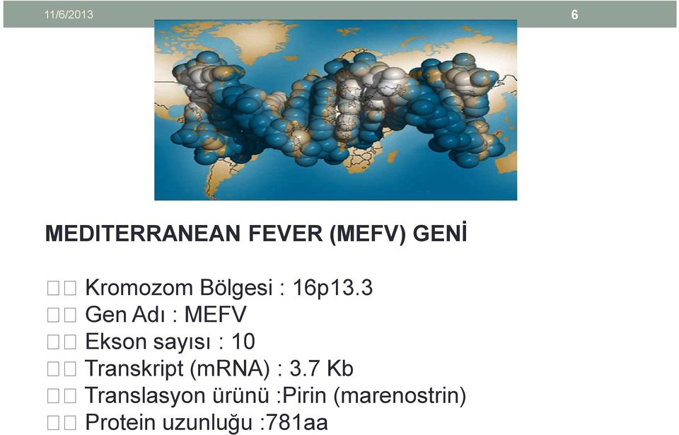 3 Gen Adı : MEFV Ekson sayısı : 10 Transkript