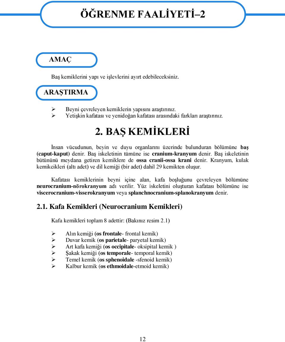 BaĢ iskeletinin tümüne ise cranium-kranyum denir. BaĢ iskeletinin bütününü meydana getiren kemiklere de ossa cranii-ossa krani denir.