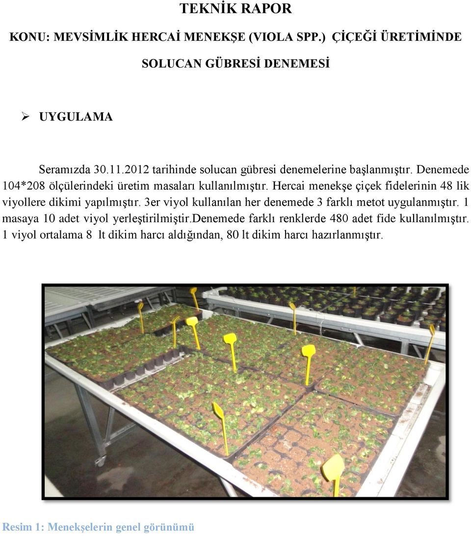 Hercai menekģe çiçek fidelerinin 48 lik viyollere dikimi yapılmıģtır. 3er viyol kullanılan her denemede 3 farklı metot uygulanmıģtır.