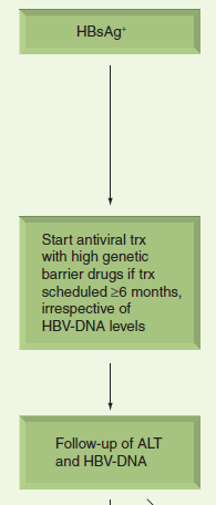 HBV-DNA >2000 IU/ml kronik
