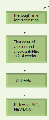 Aşılamak için yeterli zaman varsa İlk doz aşıyı yap
