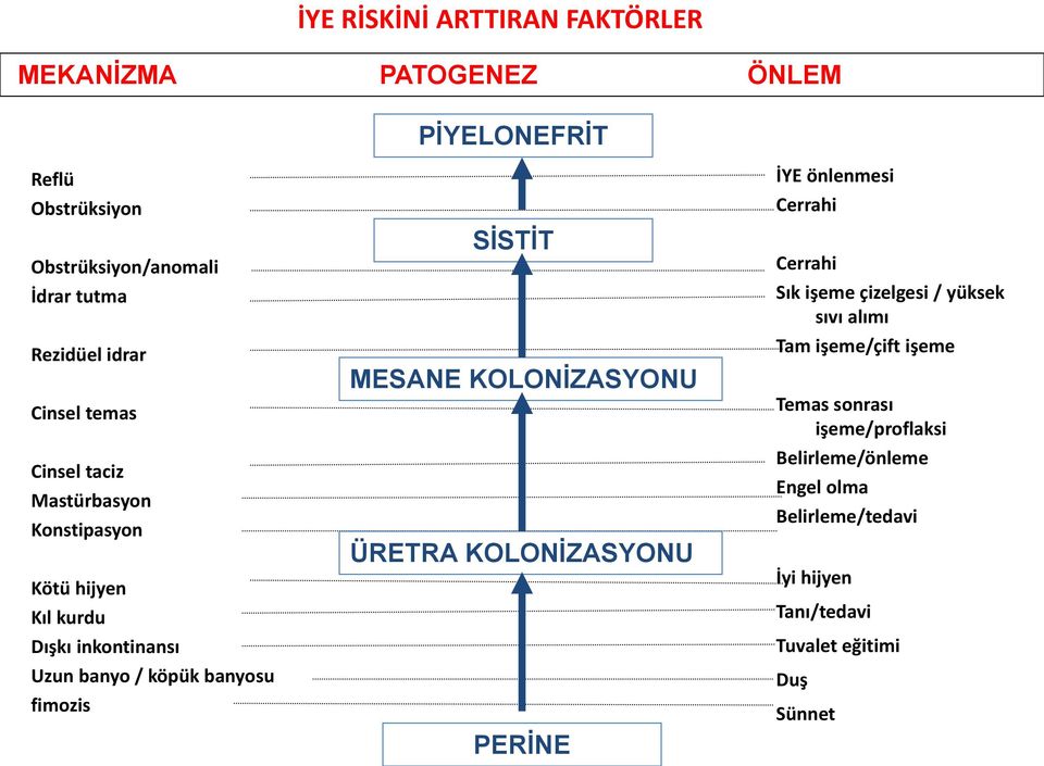 SİSTİT MESANE KOLONİZASYONU ÜRETRA KOLONİZASYONU PERİNE İYE önlenmesi Cerrahi Cerrahi Sık işeme çizelgesi / yüksek sıvı alımı Tam