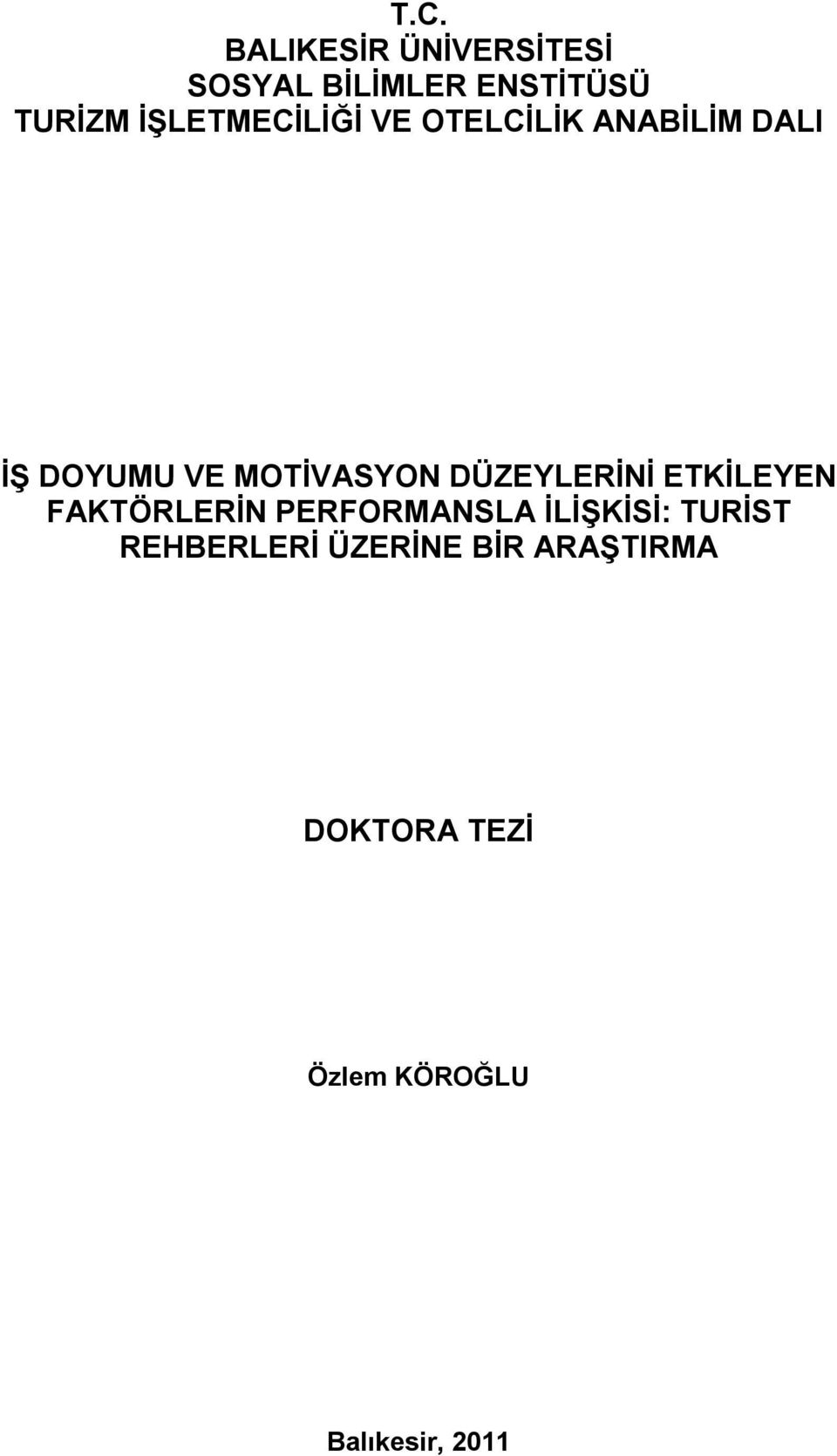 DÜZEYLERİNİ ETKİLEYEN FAKTÖRLERİN PERFORMANSLA İLİŞKİSİ: TURİST