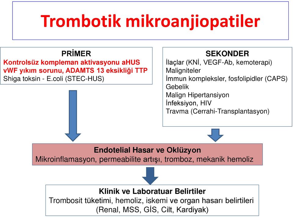 Hipertansiyon İnfeksiyon, HIV Travma (Cerrahi-Transplantasyon) Endotelial Hasar ve Oklüzyon Mikroinflamasyon, permeabilite artışı,