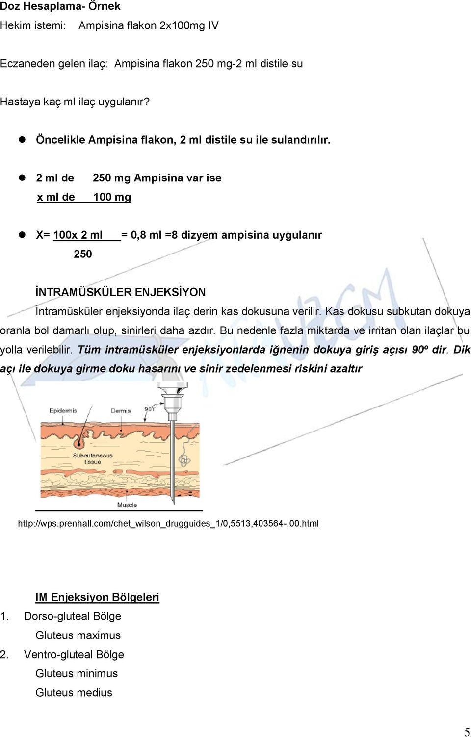 2 ml de x ml de 250 mg Ampisina var ise 100 mg X= 100x 2 ml 250 = 0,8 ml =8 dizyem ampisina uygulanır ĠNTRAMÜSKÜLER ENJEKSĠYON İntramüsküler enjeksiyonda ilaç derin kas dokusuna verilir.