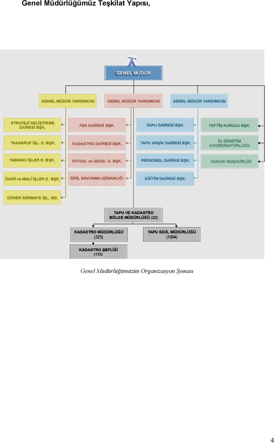 Organizasyon Şeması