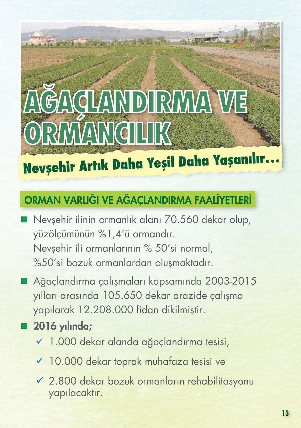 Ağaçlandırma çalışmaları kapsamında 2003-2015 yılları arasında 105.650 dekar arazide çalışma yapılarak 12.208.000 fidan dikilmiştir.