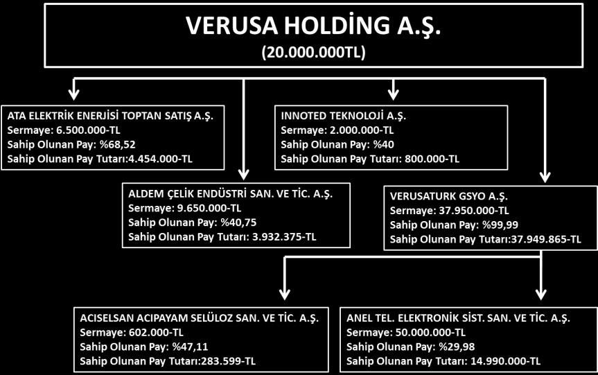 Ar-Ge faaliyetleri yürütülürken Acıselsan Acıpayam Selüloz Sanayi ve Ticaret A.Ş. de selüloz bazlı karboksimetilselüloz türevlerinin geliştirilmesine ilişkin Ar-Ge faaliyetleri yürütülmektedir. IV.