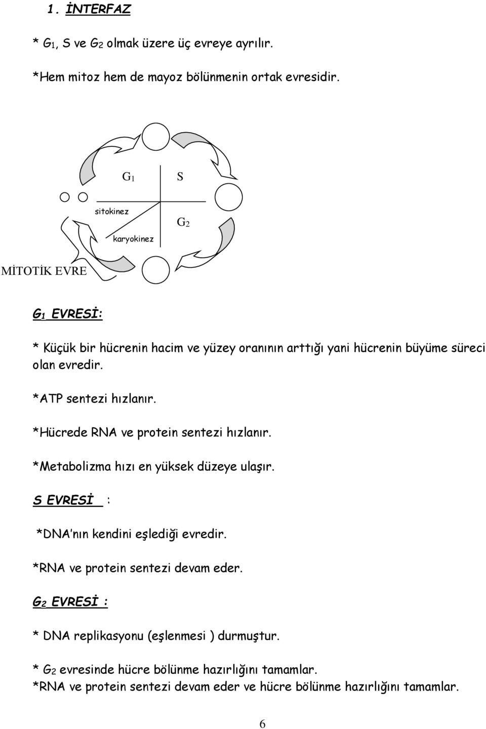 *ATP sentezi hızlanır. *Hücrede RNA ve protein sentezi hızlanır. *Metabolizma hızı en yüksek düzeye ulaşır. S EVRESİ : *DNA nın kendini eşlediği evredir.