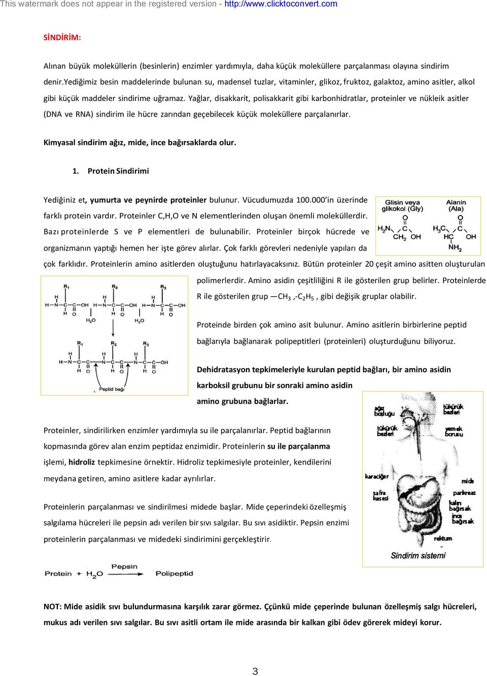 Yağlar, disakkarit, polisakkarit gibi karbonhidratlar, proteinler ve nükleik asitler (DNA ve RNA) sindirim ile hücre zarından geçebilecek küçük moleküllere parçalanırlar.