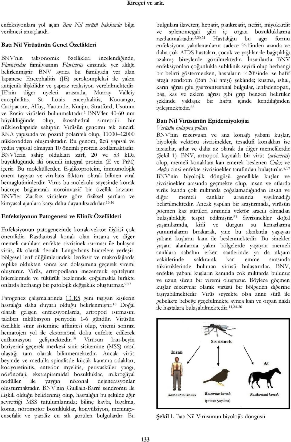 BNV ayrıca bu familyada yer alan Japanese Encephalitis (JE) serokompleksi ile yakın antijenik ilişkilidir ve çapraz reaksiyon verebilmektedir.