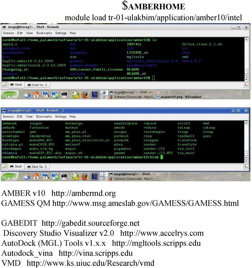 net Discovery Studio Visualizer v2.0 http://www.accelrys.com AutoDock (MGL) Tools v1.x.