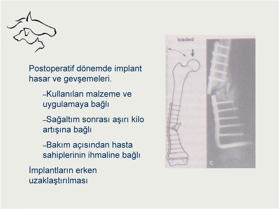 sonrası aşırı kilo artışına bağlı Bakım açısından