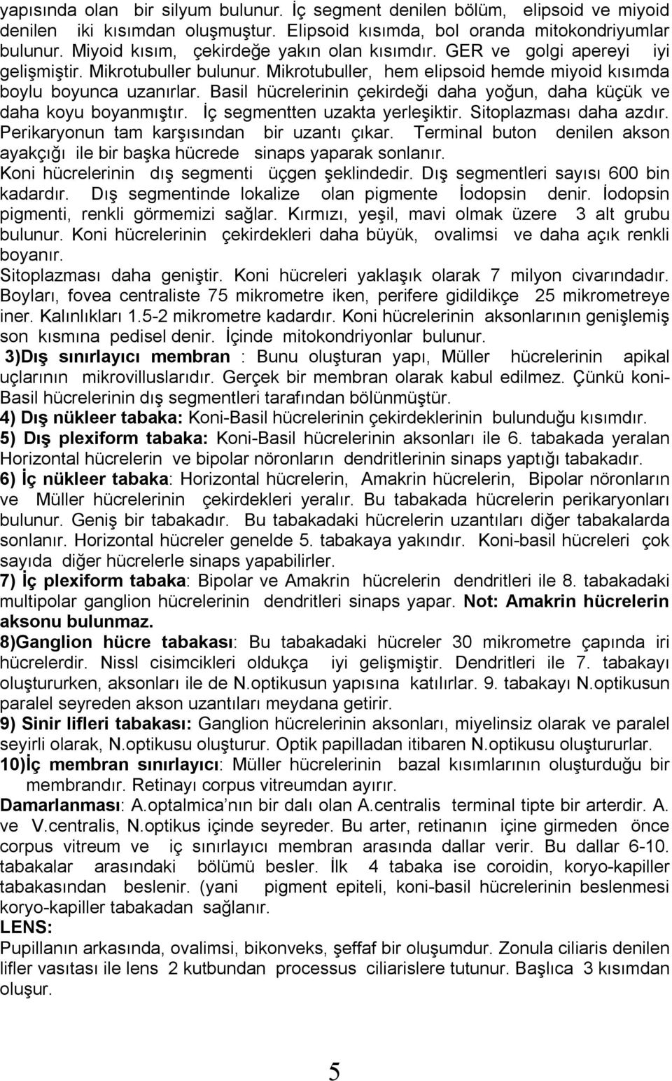 Basil hücrelerinin çekirdeği daha yoğun, daha küçük ve daha koyu boyanmıştır. İç segmentten uzakta yerleşiktir. Sitoplazması daha azdır. Perikaryonun tam karşısından bir uzantı çıkar.