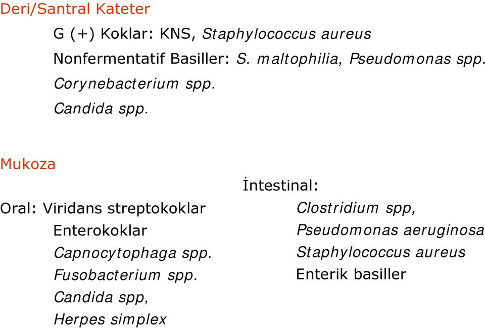 Mukoza Oral: Viridans streptokoklar Enterokoklar Capnocytophaga spp. Fusobacterium spp.