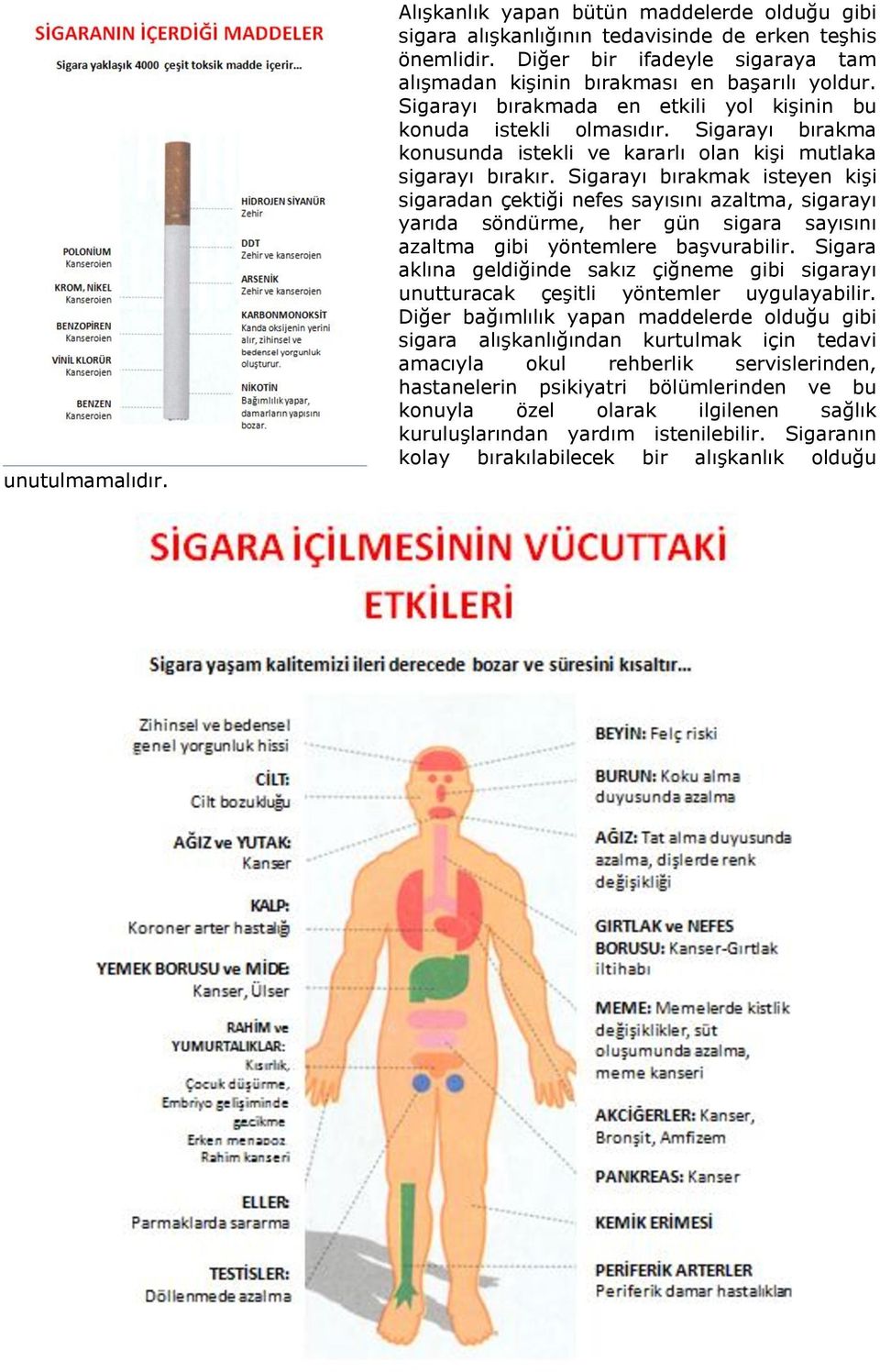 Sigarayı bırakma konusunda istekli ve kararlı olan kişi mutlaka sigarayı bırakır.