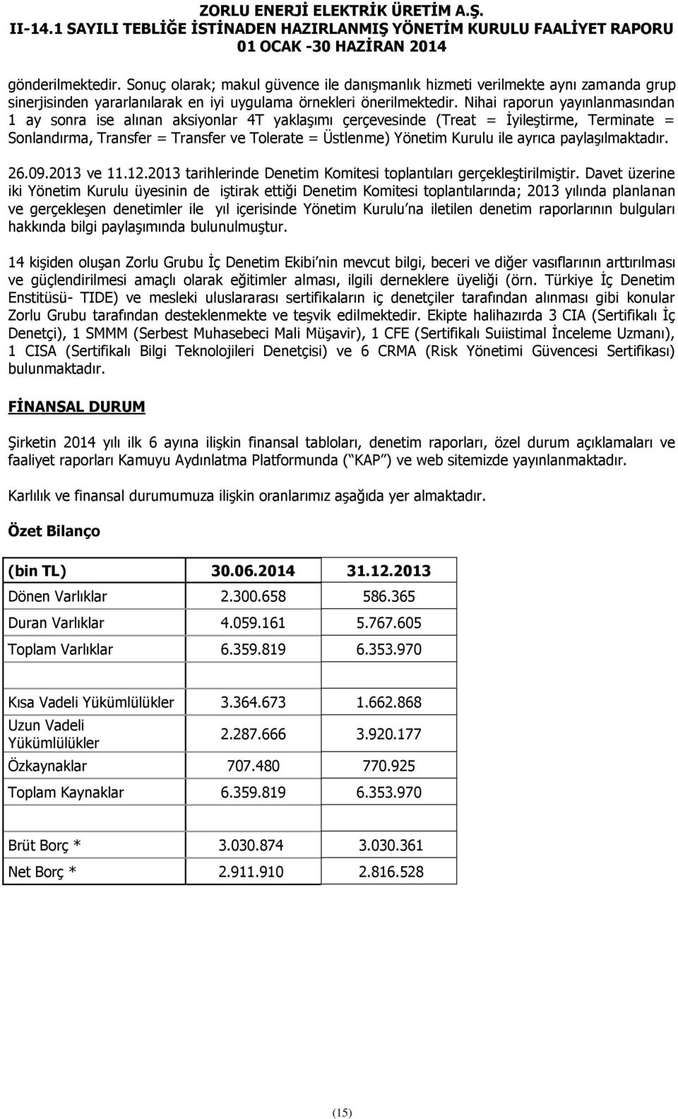 ayrıca paylaşılmaktadır. 26.09.2013 ve 11.12.2013 tarihlerinde Denetim Komitesi toplantıları gerçekleştirilmiştir.