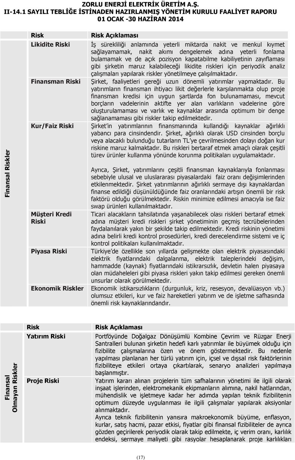 çalışmaları yapılarak riskler yönetilmeye çalışılmaktadır. Şirket, faaliyetleri gereği uzun dönemli yatırımlar yapmaktadır.