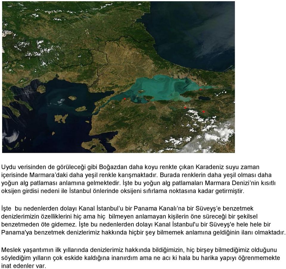 İşte bu yoğun alg patlamaları Marmara Denizi nin kısıtlı oksijen girdisi nedeni ile İstanbul önlerinde oksijeni sıfırlama noktasına kadar getirmiştir.