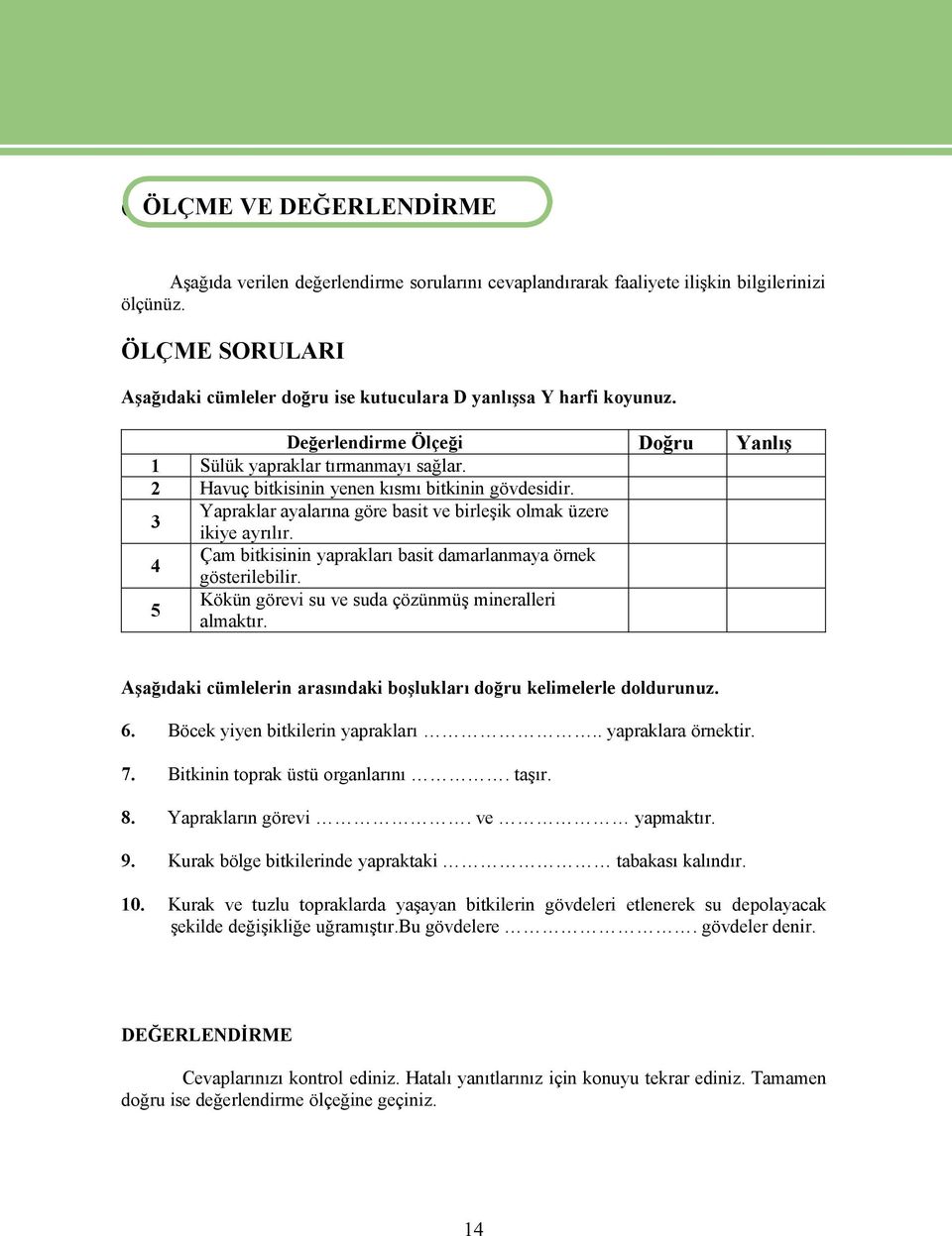 2 HavuÑ bitkisinin yenen kısmı bitkinin gövdesidir. 3 Yapraklar ayalarına göre basit ve birleşik olmak Ézere ikiye ayrılır. 4 àam bitkisinin yaprakları basit damarlanmaya Örnek gösterilebilir.