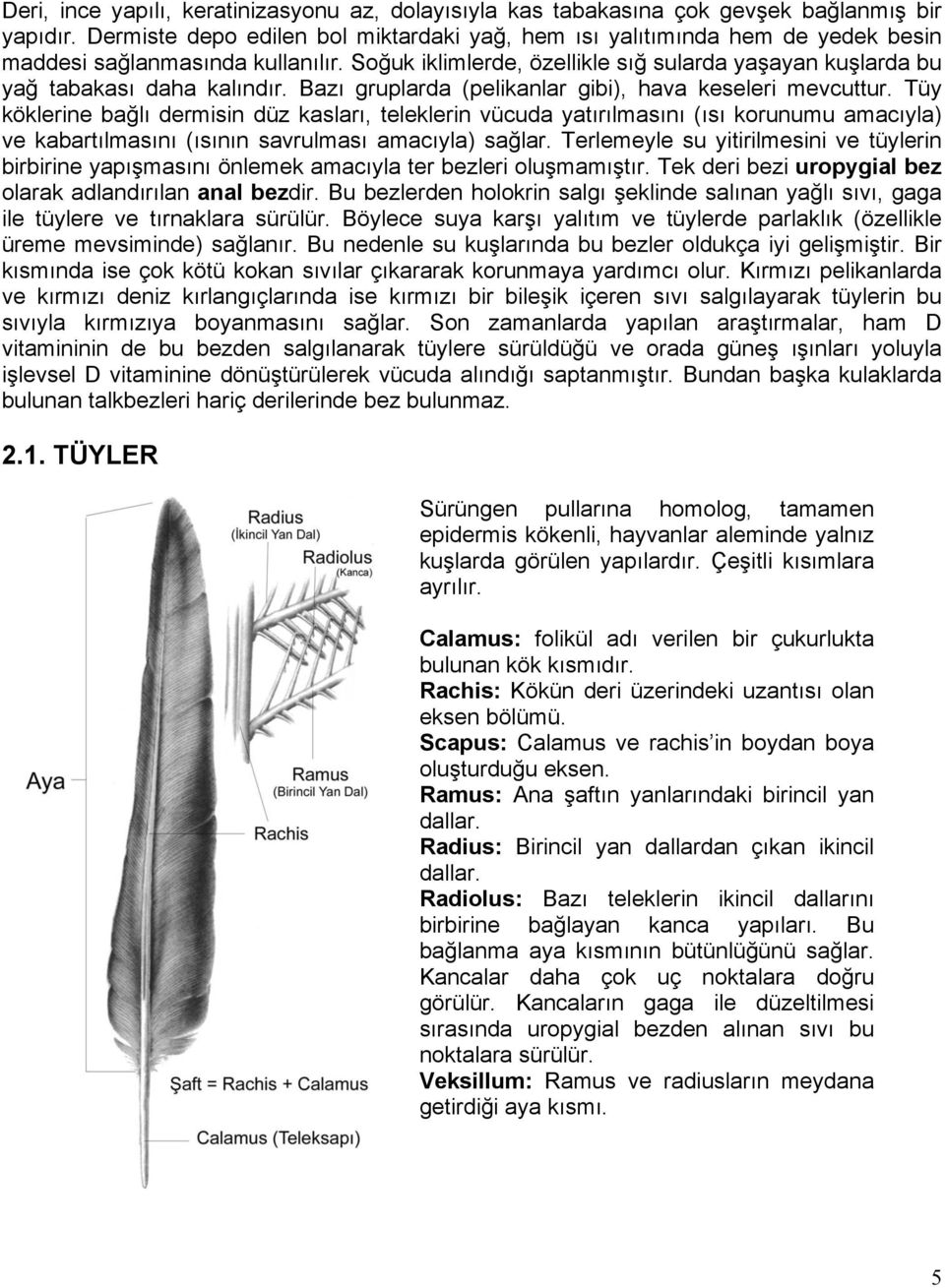 Soğuk iklimlerde, özellikle sığ sularda yaşayan kuşlarda bu yağ tabakası daha kalındır. Bazı gruplarda (pelikanlar gibi), hava keseleri mevcuttur.