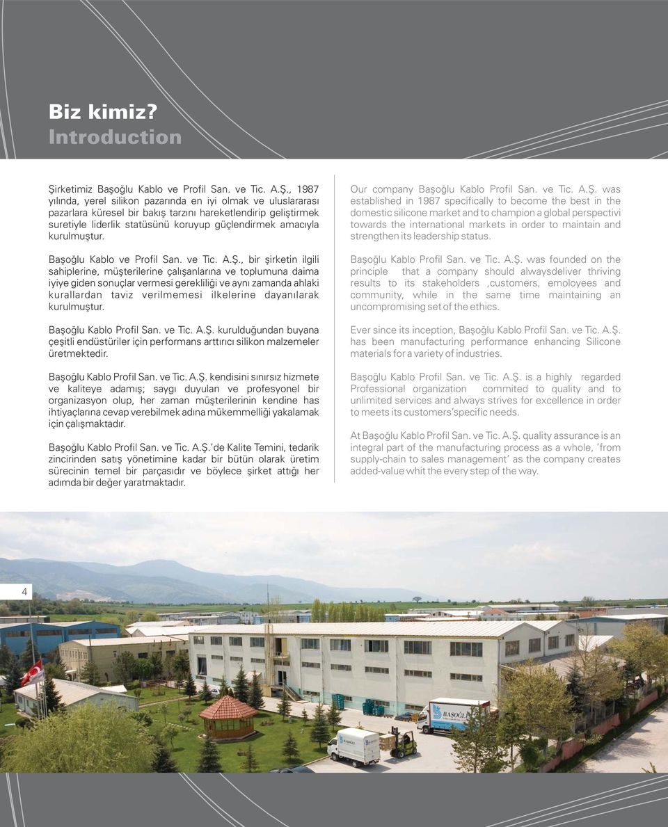 , 198 yılında, yerel silikon pazarında en iyi olmak ve uluslararası pazarlara küresel bir bakış tarzını hareketlendirip geliştirmek suretiyle liderlik statüsünü koruyup güçlendirmek amacıyla