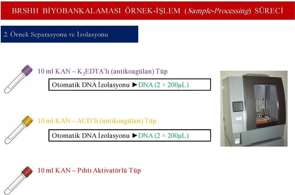 200μL) 10 ml KAN ACD li (antikoagülan) Tüp Otomatik