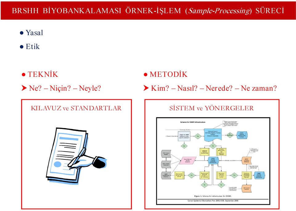 KILAVUZ ve STANDARTLAR