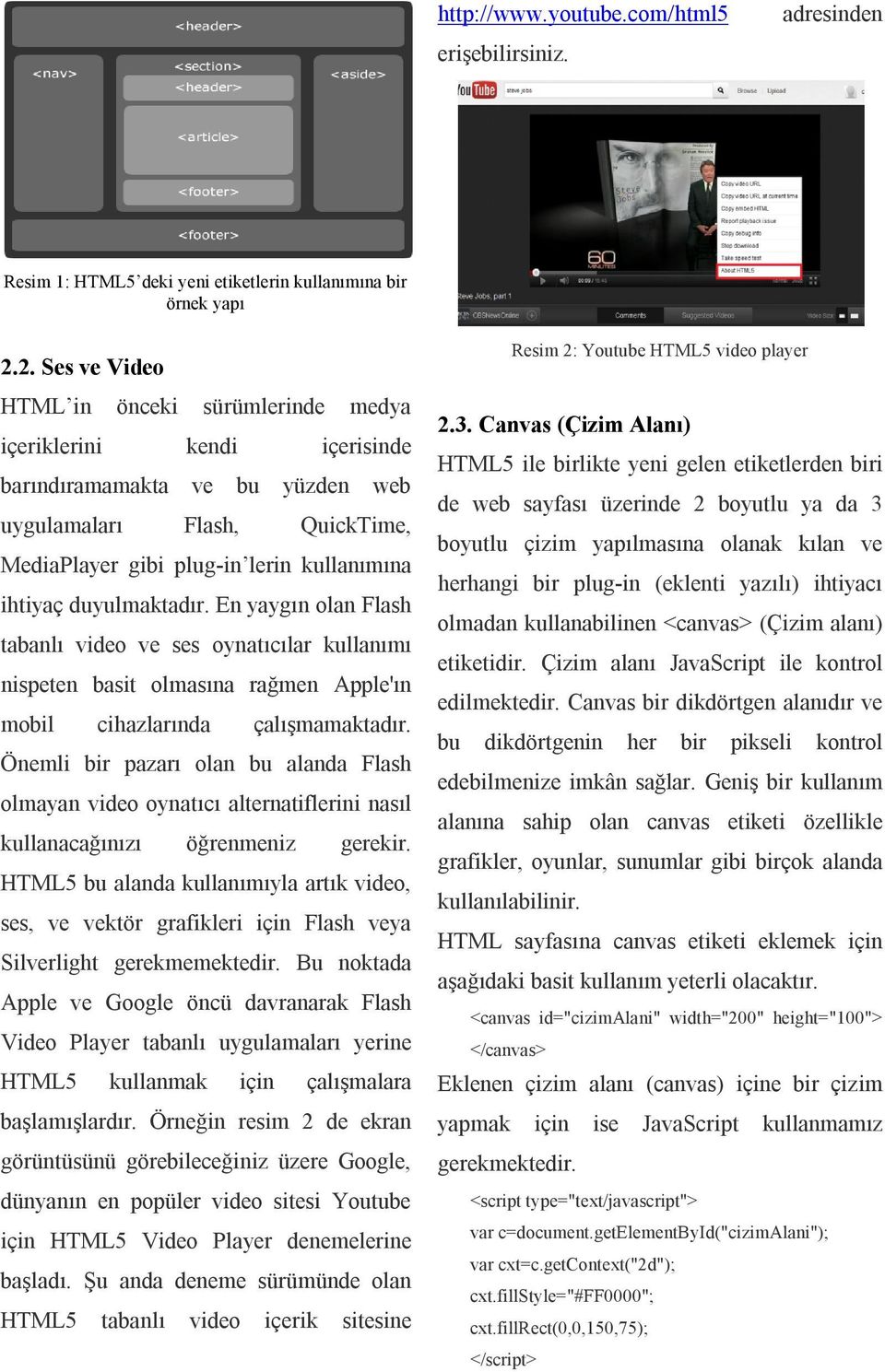 duyulmaktadır. En yaygın olan Flash tabanlı video ve ses oynatıcılar kullanımı nispeten basit olmasına rağmen Apple'ın mobil cihazlarında çalışmamaktadır.