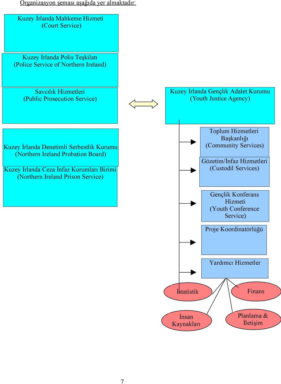 Probation Board) Kuzey İrlanda Ceza İnfaz Kurumları Birimi (Northern Ireland Prison Service) Toplum Hizmetleri Başkanlığı (Community Services) Gözetim/İnfaz