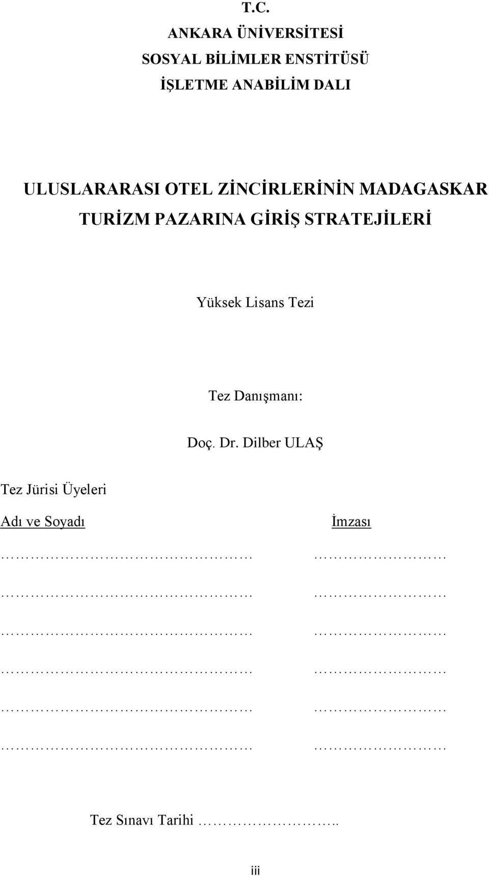 GİRİŞ STRATEJİLERİ Yüksek Lisans Tezi Tez Danışmanı: Doç. Dr.