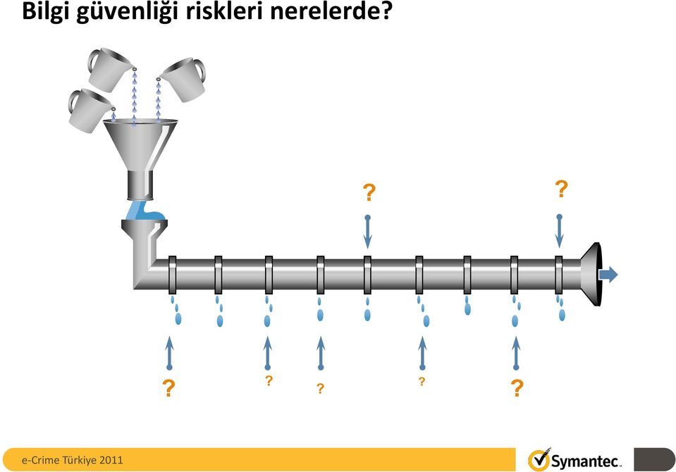 riskleri