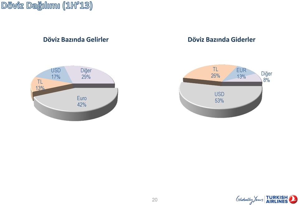 17% Diğer 29% Euro 42% TL