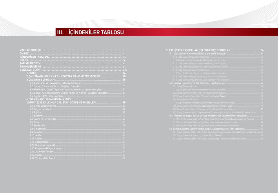 .. 30 3.4. Sosyal Kalkınma (Eğitim, Sağlık, Kültür ve Altyapı) Çalıştayı Sonuçları... 32 3.5. Yozgat 2023 Proje Önerileri... 35 4.