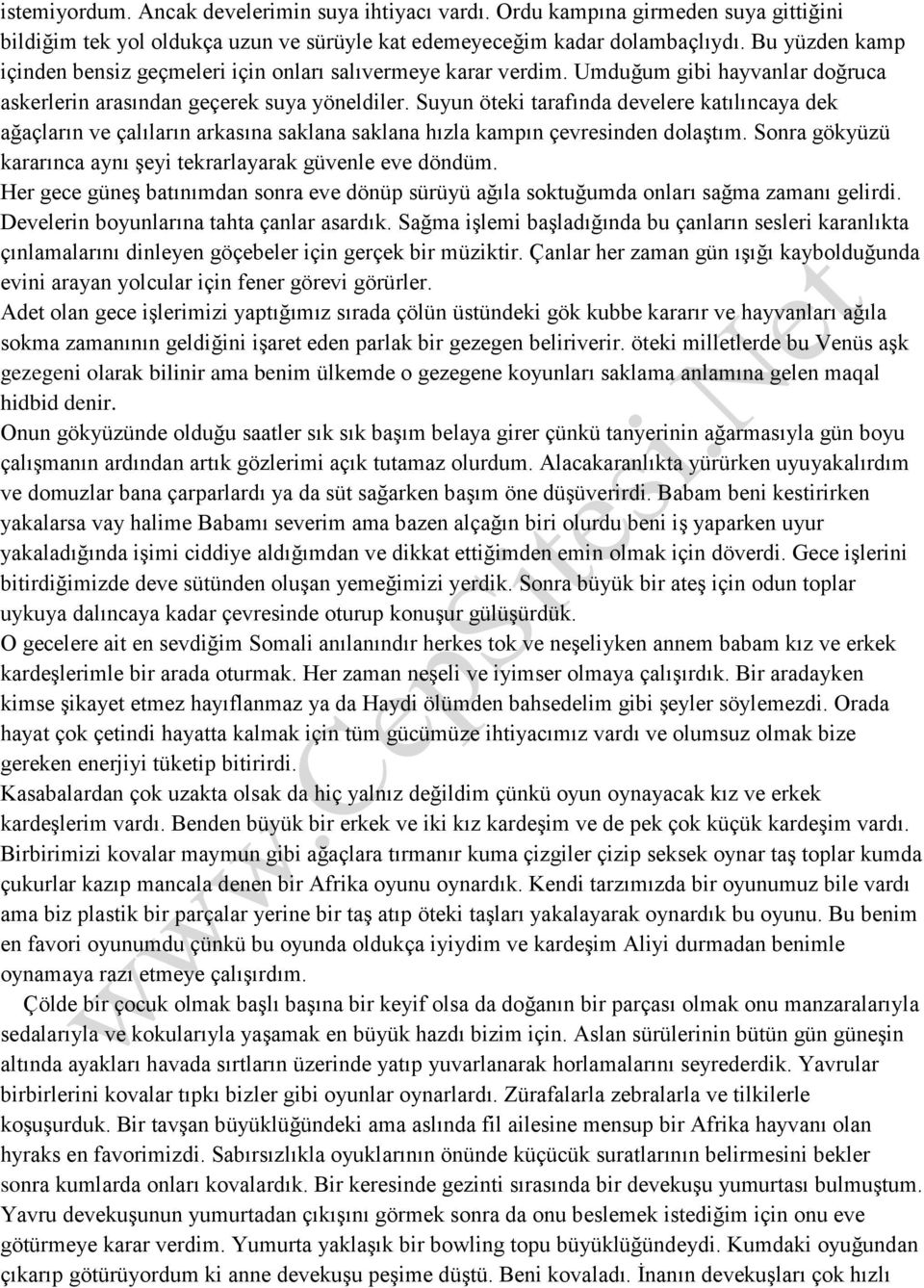 Suyun öteki tarafında develere katılıncaya dek ağaçların ve çalıların arkasına saklana saklana hızla kampın çevresinden dolaştım. Sonra gökyüzü kararınca aynı şeyi tekrarlayarak güvenle eve döndüm.