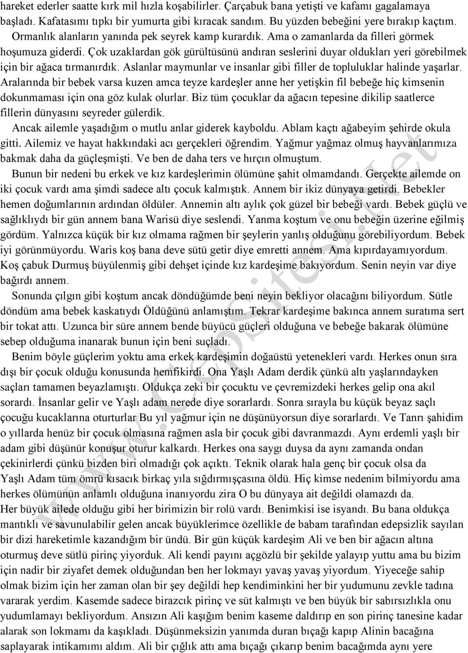 Çok uzaklardan gök gürültüsünü andıran seslerini duyar oldukları yeri görebilmek için bir ağaca tırmanırdık. Aslanlar maymunlar ve insanlar gibi filler de topluluklar halinde yaşarlar.