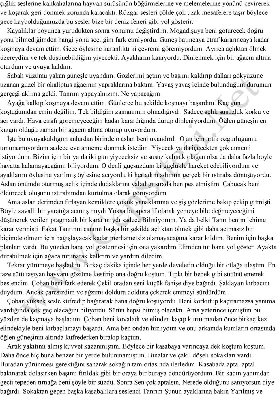 Mogadişuya beni götürecek doğru yönü bilmediğimden hangi yönü seçtiğim fark etmiyordu. Güneş batıncaya etraf kararıncaya kadar koşmaya devam ettim. Gece öylesine karanlıktı ki çevremi göremiyordum.