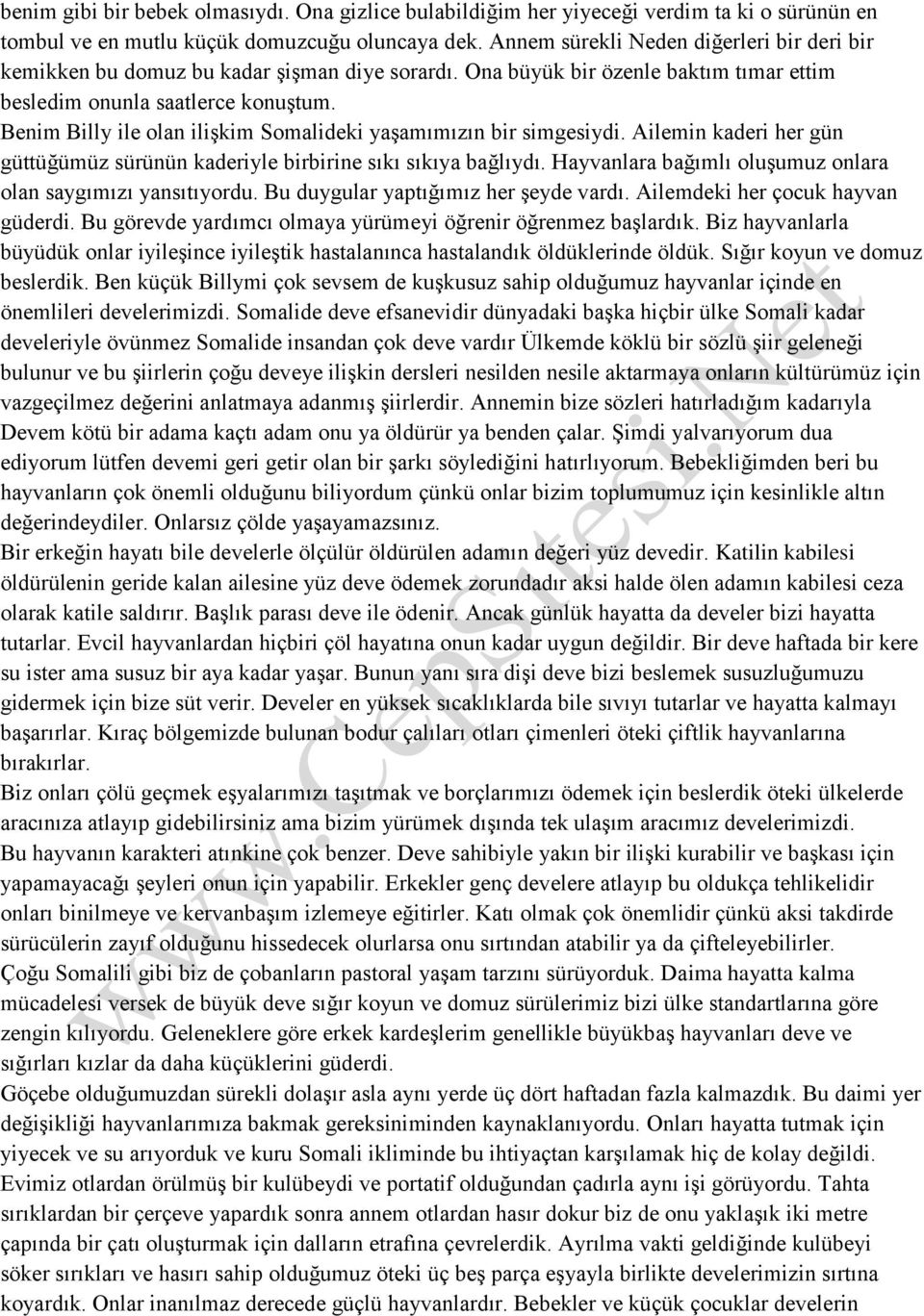 Benim Billy ile olan ilişkim Somalideki yaşamımızın bir simgesiydi. Ailemin kaderi her gün güttüğümüz sürünün kaderiyle birbirine sıkı sıkıya bağlıydı.