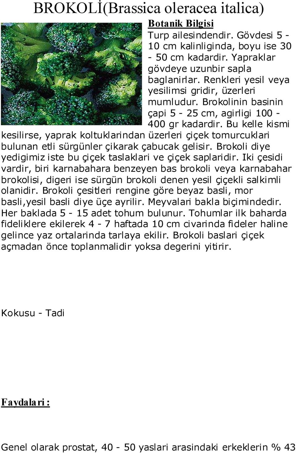 Bu kelle kismi kesilirse, yaprak koltuklarindan üzerleri çiçek tomurcuklari bulunan etli sürgünler çikarak çabucak gelisir. Brokoli diye yedigimiz iste bu çiçek taslaklari ve çiçek saplaridir.