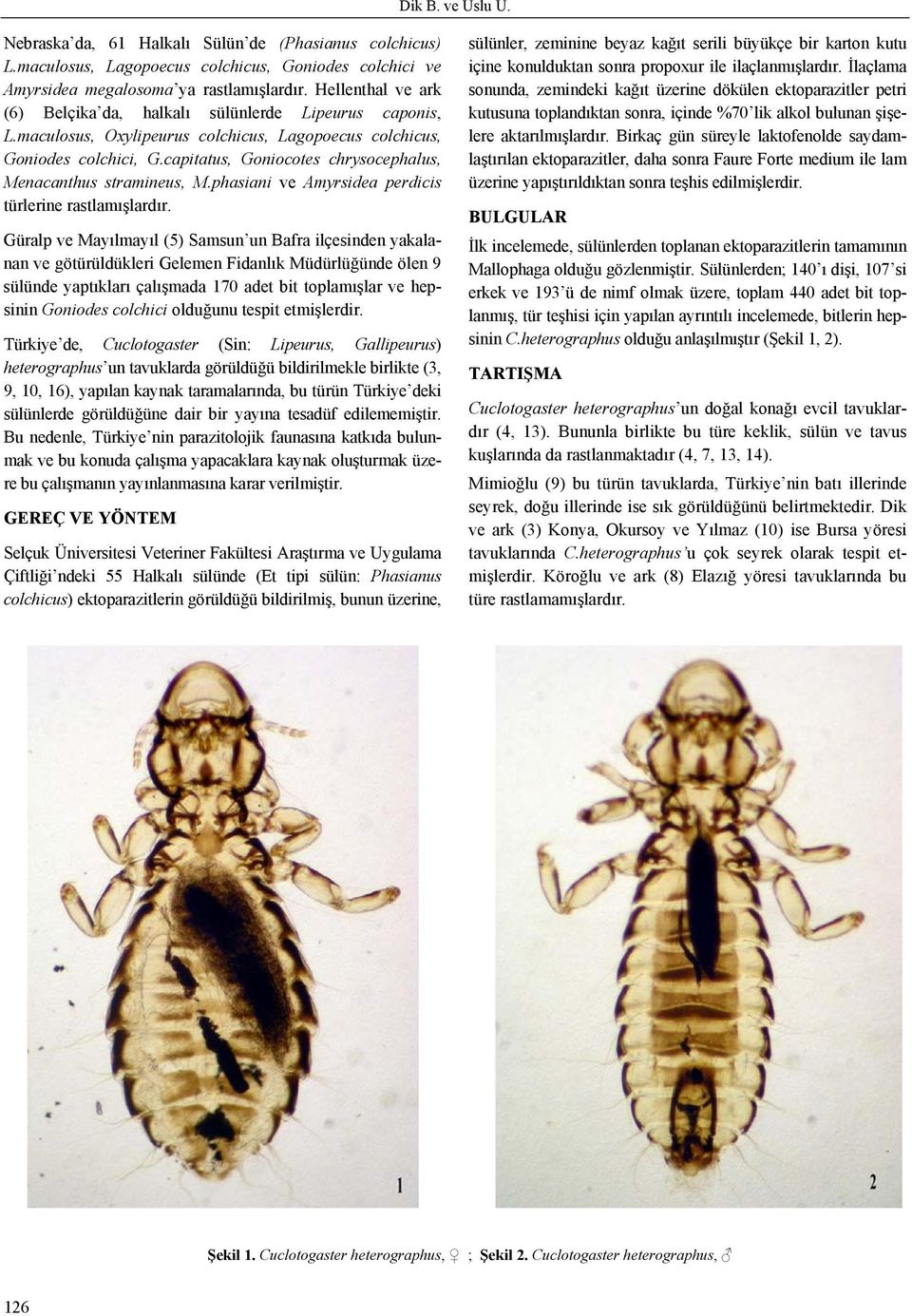 capitatus, Goniocotes chrysocephalus, Menacanthus stramineus, M.phasiani ve Amyrsidea perdicis türlerine rastlamışlardır.